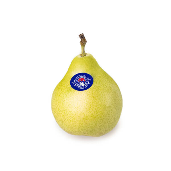 variant-1